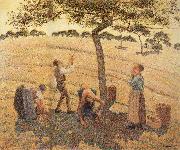 Camille Pissarro Pick Apple painting